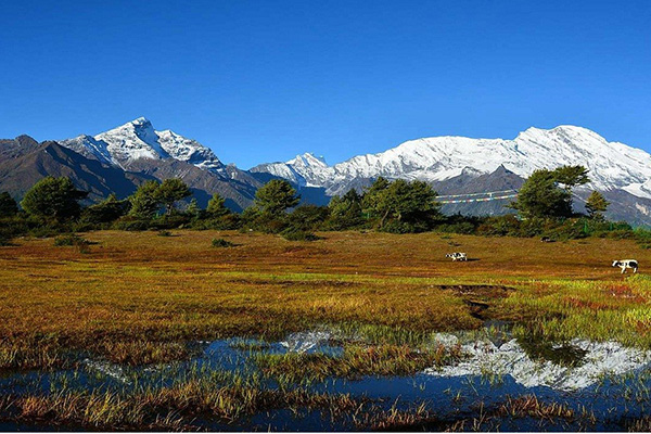 Drive to Phadruchi 4,850 - 05 hrs.