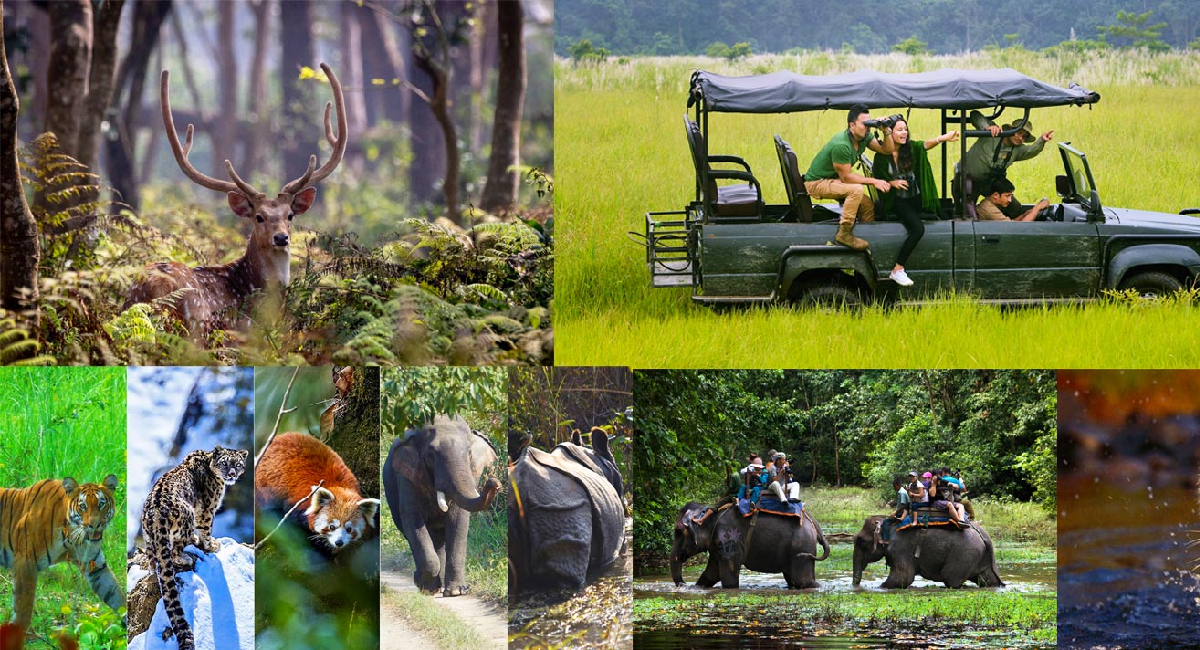 Nepal Wild Nature Tour Package