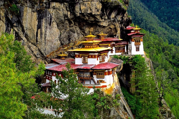 Thimphu Sightseeing and Transfer to Paro