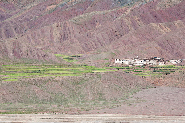 Drive to Shegar 4,350m - 05 hrs.