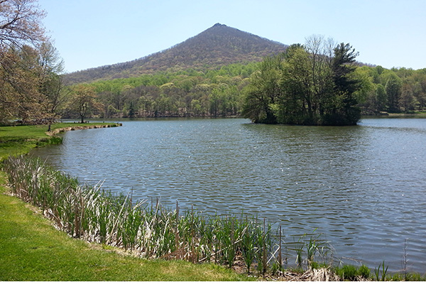 Trek to Sharo 4,173 m - 05 hrs.